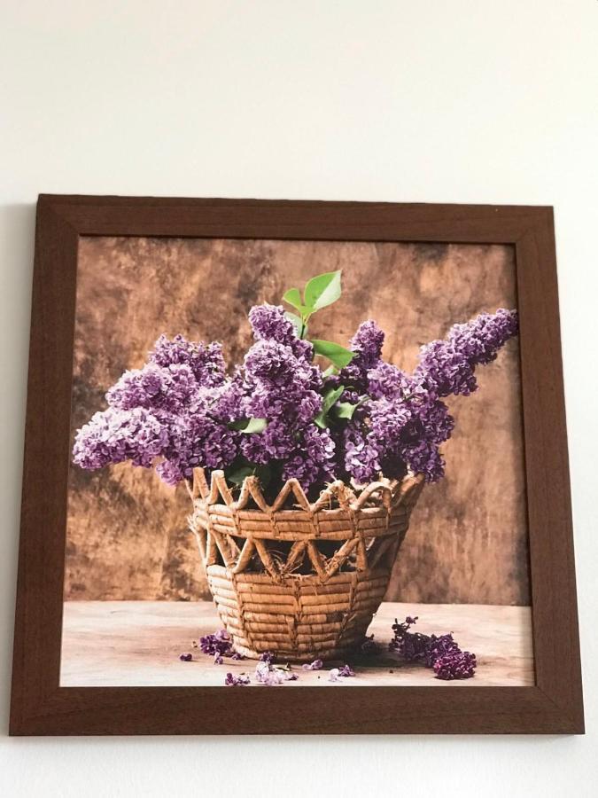 Studio Apartmani Paola Rijeka Dış mekan fotoğraf